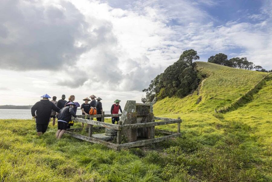 Auckland: Browns Island (Motukorea) Sea Kayak Tour - Guides who make beginners feel at home