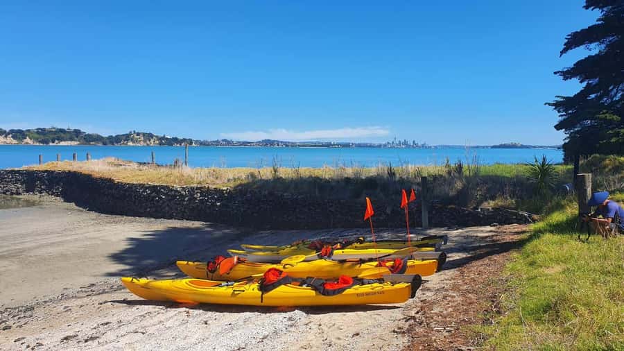 Auckland: Browns Island (Motukorea) Sea Kayak Tour - Is $89 good value for four hours?