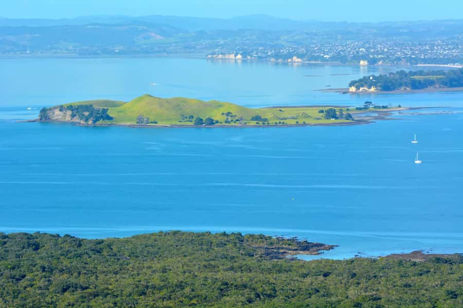 Auckland: Browns Island (Motukorea) Sea Kayak Tour - Who should book this Browns Island trip?