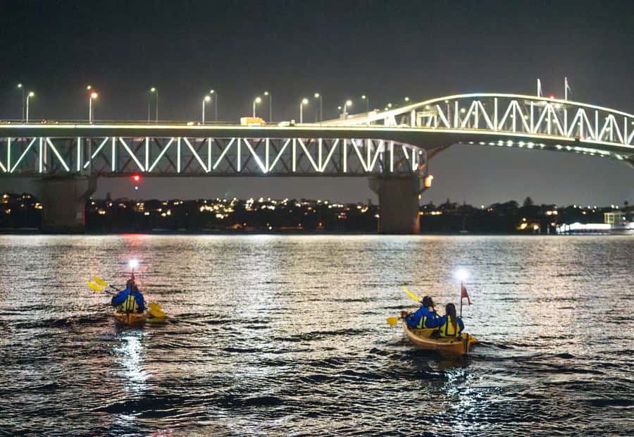 Auckland: City Lights Night Kayak Tour - Why Auckland looks different from a kayak at night