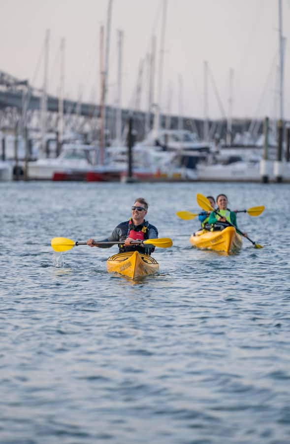 Auckland: City Lights Night Kayak Tour - The small-group advantage