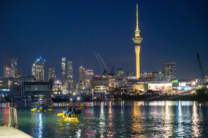 Auckland City Lights Night Kayaking Tour - Key points at a glance