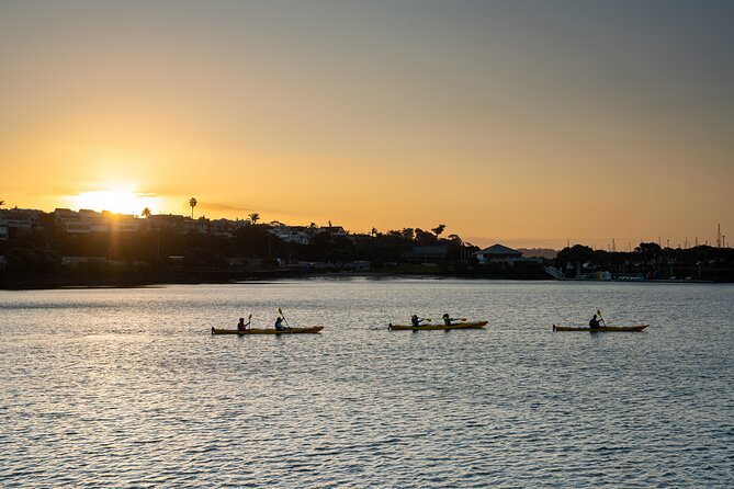 Auckland City Lights Night Kayaking Tour - Getting started at St Mary’s Bay