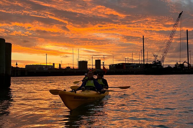 Auckland City Lights Night Kayaking Tour - Auckland Harbour Bridge from the water