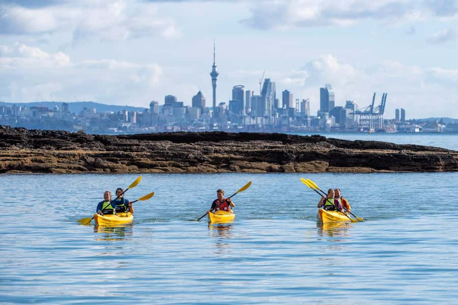 Auckland: Half-Day Sea Kayak Tour to Motukorea Island - Key points to know before booking