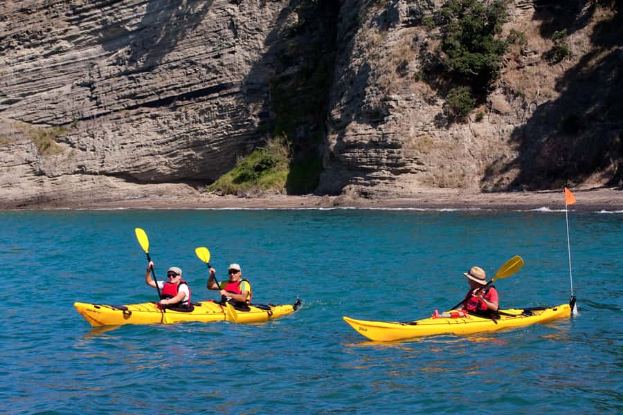 Auckland: Half-Day Sea Kayak Tour to Motukorea Island - Why Motukorea makes a good Auckland day trip