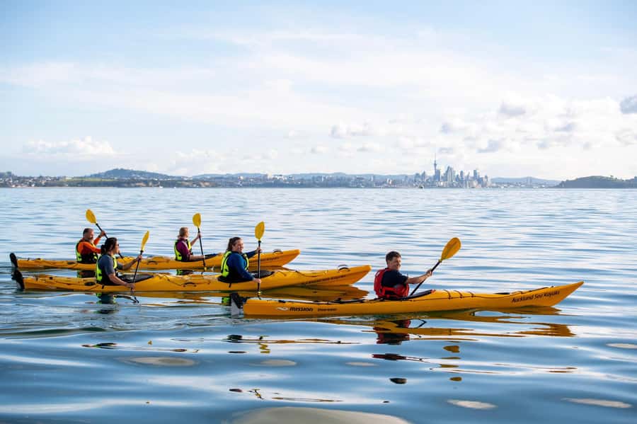 Auckland: Half-Day Sea Kayak Tour to Motukorea Island - Who should book this tour?