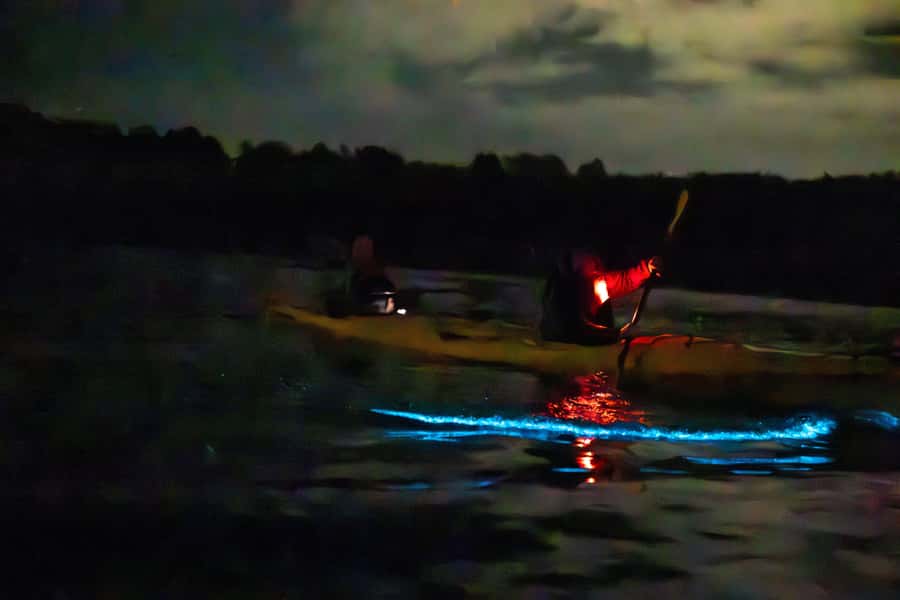 Auckland: Night Kayak Tour in Glowing Bioluminescent Waters - The 75-minute paddle into the dark