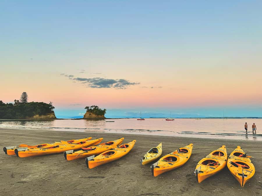 Auckland: Night Kayak Tour in Glowing Bioluminescent Waters - What the $56 price includes