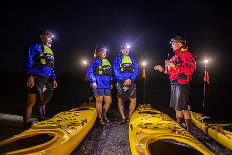Auckland: Sunset & Night Sea Kayak Tour to Rangitoto Island - Starting at St Heliers Beach