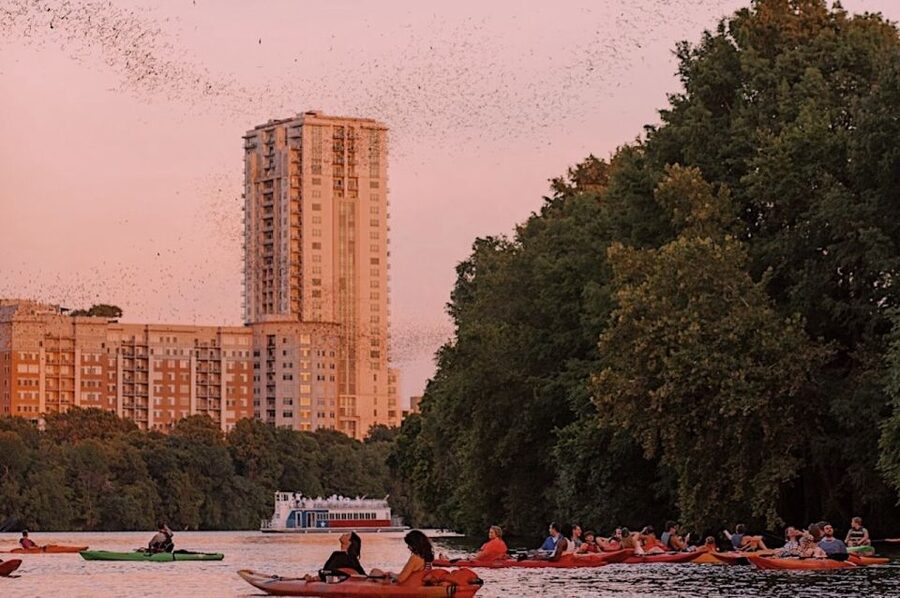 Austin: Sunset Bat Watching Kayak Tour - Learning why Austin’s bridge has bats