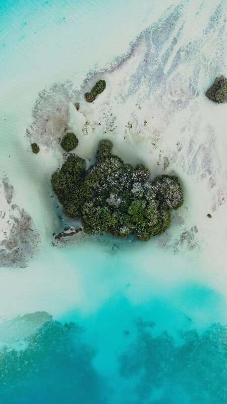 Bacalar & Cenotes: 3 hours kayak rental with snorkeling gear - Key points to know before you paddle