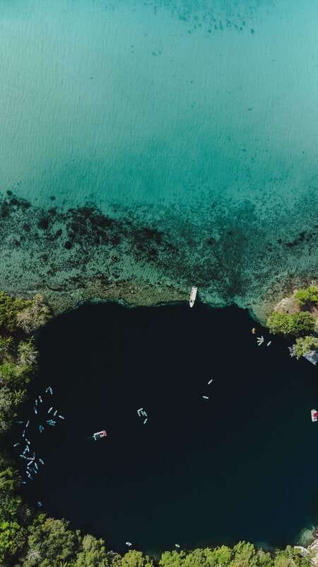 Bacalar & Cenotes: 3 hours kayak rental with snorkeling gear - Who will enjoy this most