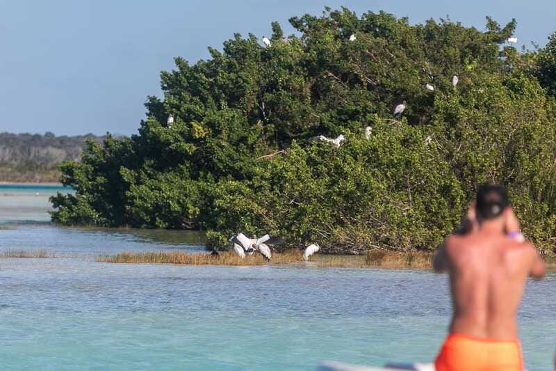 Bacalar: Full Day Kayak Rental in the Lagoon of Seven Colors - Paddling through the Lagoon of Seven Colors