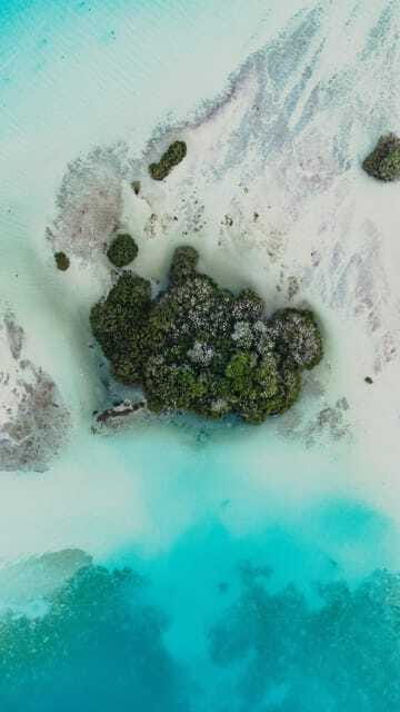 Bacalar Lagoon Full-Day Kayak & Snorkel Rental - Snorkeling at Cenote Esmeralda