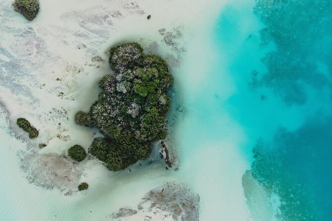 Bacalar Sunrise Stand Up Paddleboard Tour with Breakfast & Photos - Cocos Island, birdlife, and the swimming stop