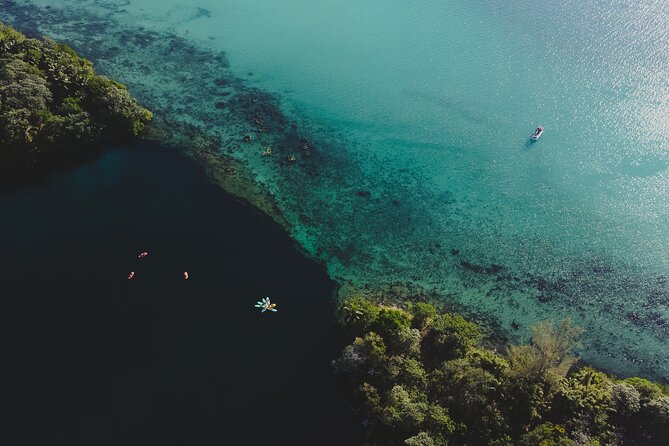 Bacalar Sunrise Stand Up Paddleboard Tour with Breakfast & Photos - Setting out from Amir AdvenTours Bacalar