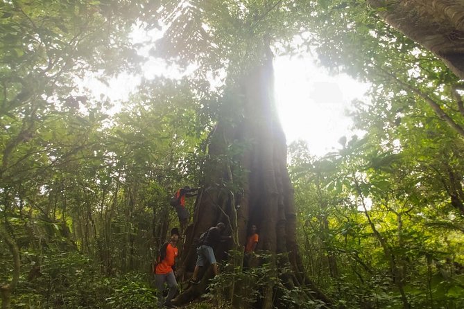 Bali Jungle Trekking and Lake Canoeing Tour - The optional southern Bali route