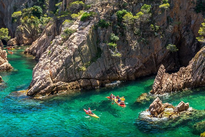 Barcelona Costa Brava Kayak, Snorkel & Cliff Jump Day Tour - Snorkeling among fish and rock formations