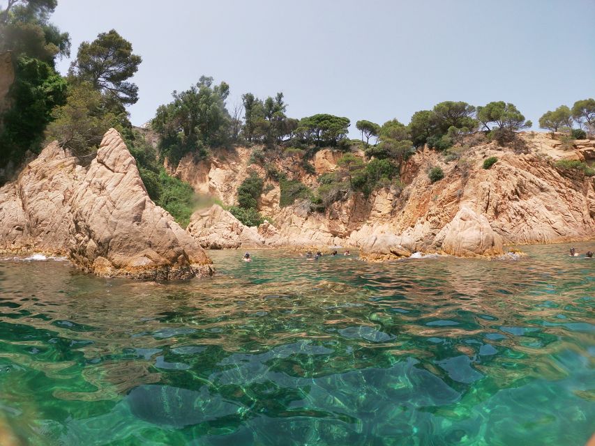 Barcelona: Costa Brava Kayaking & Snorkeling Tour with Lunch - Is $104 good value?