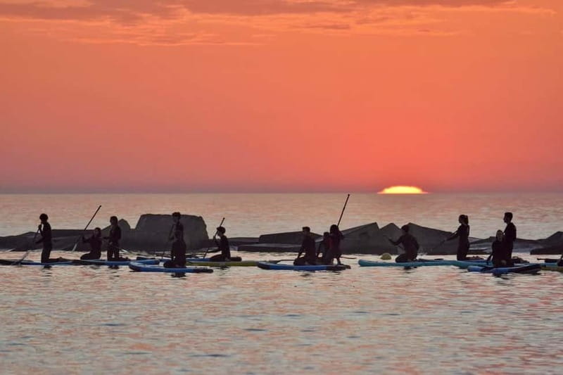 Barcelona: Paddleboarding at Sunrise. Includes: instructor, photos, equipment - Learning the basics before entering the sea