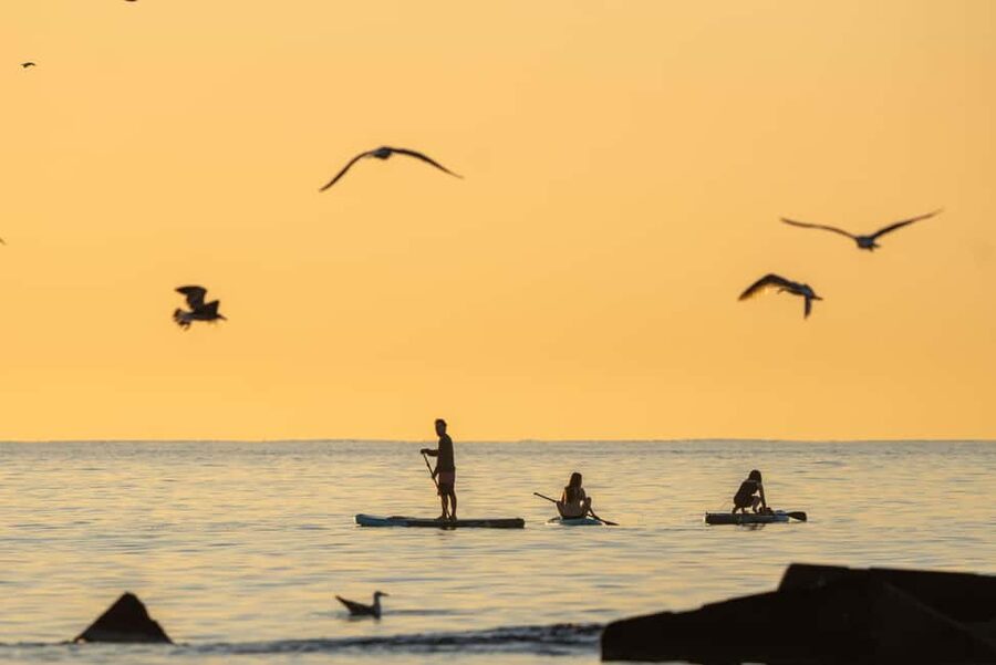 Barcelona: Paddlesurf Rental Barceloneta beach (75min) - Reaching the water with your equipment