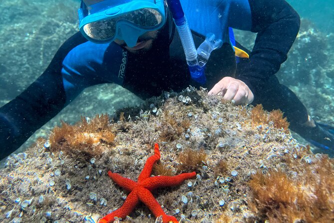 Barcelona Wild Experience: Kayak and Snorkel in Costa Brava - Free time to slow the pace