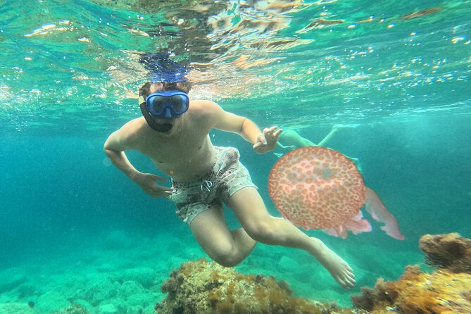 Barcelona Wild Experience: Kayak and Snorkel in Costa Brava - What makes the guide important