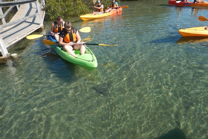 Batemans Bay Glass-Bottom Kayak Tour Over 2 Relaxing Hours - Key points to know before booking