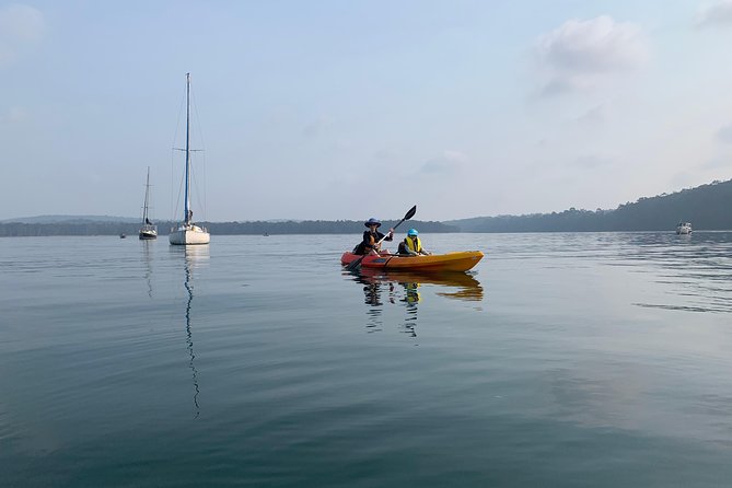 Batemans Bay Glass-Bottom Kayak Tour Over 2 Relaxing Hours - Stop 2: Batemans Marine Park Sanctuary
