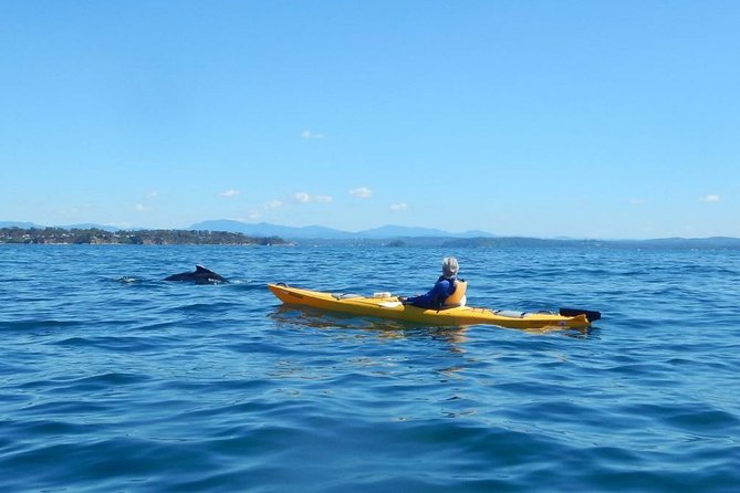 Batemans Bay Glass-Bottom Kayak Tour Over 2 Relaxing Hours - How hard is two hours in a kayak?