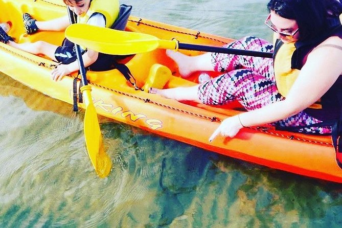 Batemans Bay Glass-Bottom Kayak Tour Over 2 Relaxing Hours - Family appeal, from six-year-olds to older adults
