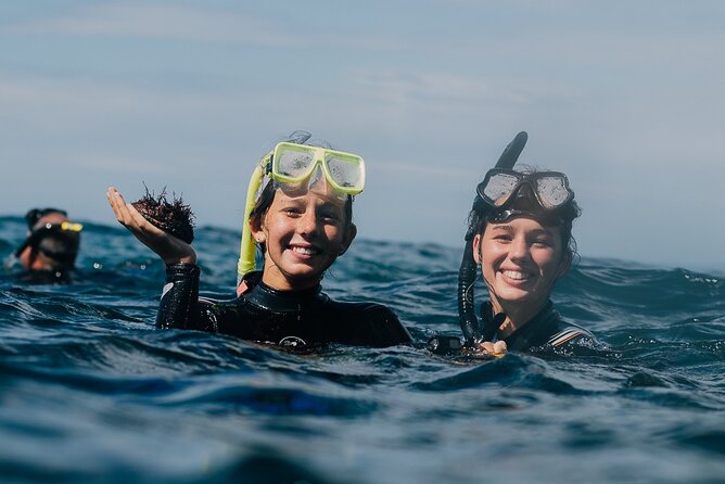 Batemans Bay Glass-Bottom Kayak Tour Over 2 Relaxing Hours - Price, snacks, and overall value
