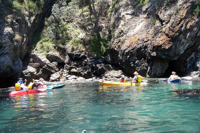 Batemans Bay Glass-Bottom Kayak Tour Over 2 Relaxing Hours - Stop 1: Region X and the calm start