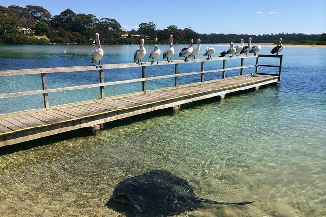 Batemans Bay Sunset Pizza Kayak Tour - Float and Feast - Sunset, moonlight, and the return paddle