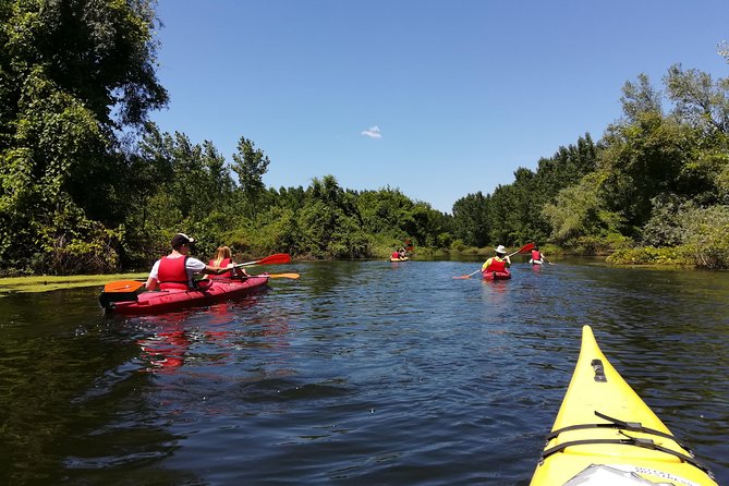 Belgrade Amazon Kayak Adventure - Belgrade Amazon Kayak Adventure at a glance