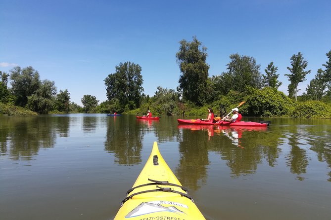 Belgrade Amazon Kayak Adventure - Who will enjoy the Belgrade Amazon most