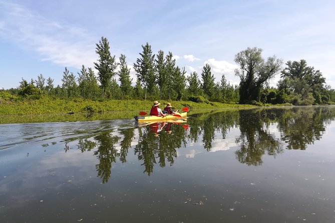 Belgrade Amazon Kayak Adventure - Should you book this Belgrade kayak trip?