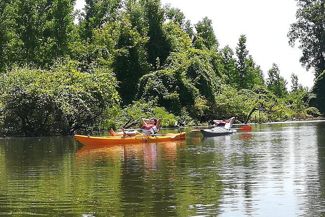 Belgrade Amazon Kayak Adventure - Beljarica, Belgrade’s unexpected wetland