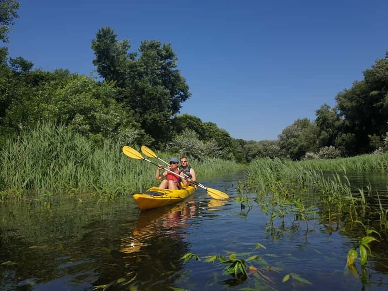 Belgrade: Great War Island Kayak Adventure - Key points to know before you book