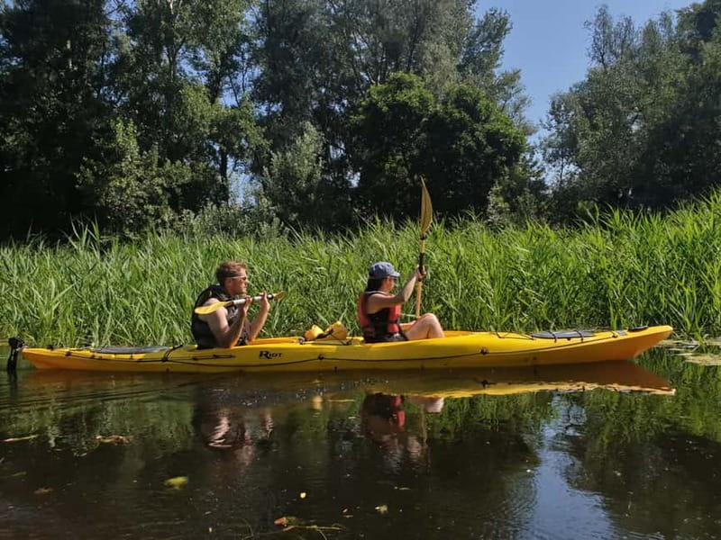 Belgrade: Great War Island Kayak Adventure - The first views: waterfront, river, and city skyline