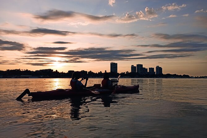 Belgrade sunset kayak tour - Meeting at Kej Oslobođenja 11a
