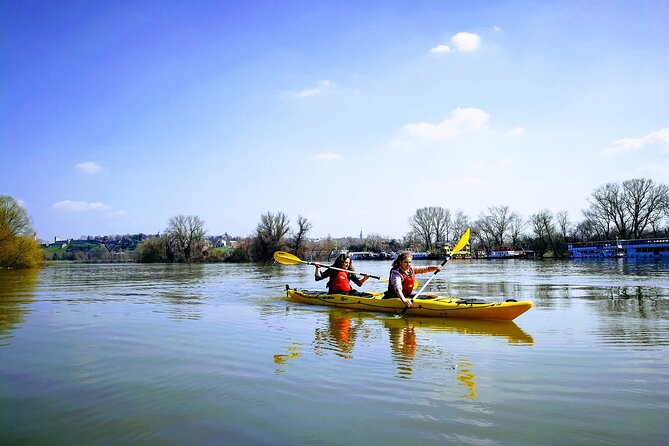 Belgrade War Island Kayak Tour - Great War Island’s marshes, willows, and birdlife