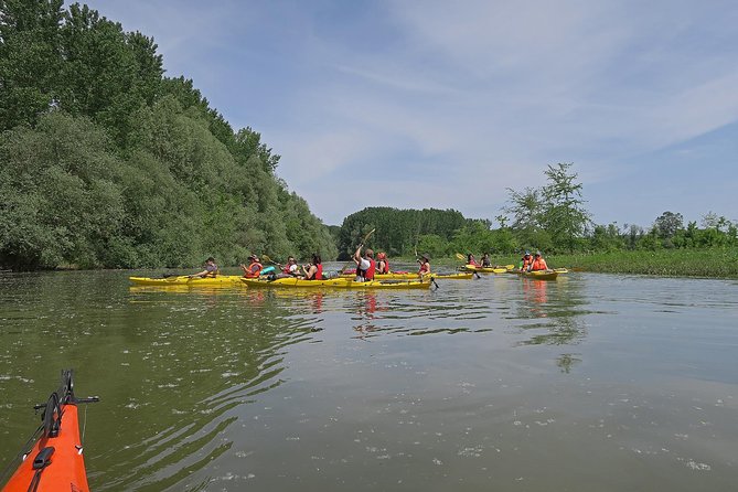 Belgrade War Island Kayak Tour - Veliki Galijaš, the island’s inland waterway
