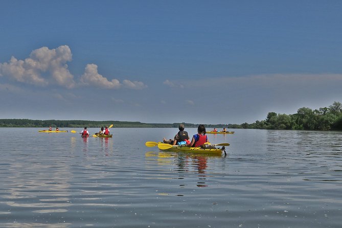 Belgrade War Island Kayak Tour - Lido Beach brings a swim and a cold drink