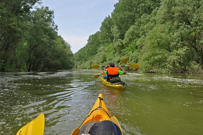 Belgrade War Island Kayak Tour - Who will enjoy this most
