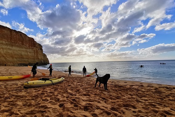 Benagil Cave - Sunrise or Sunset Kayak Tour (Small groups) - How difficult is the paddling?