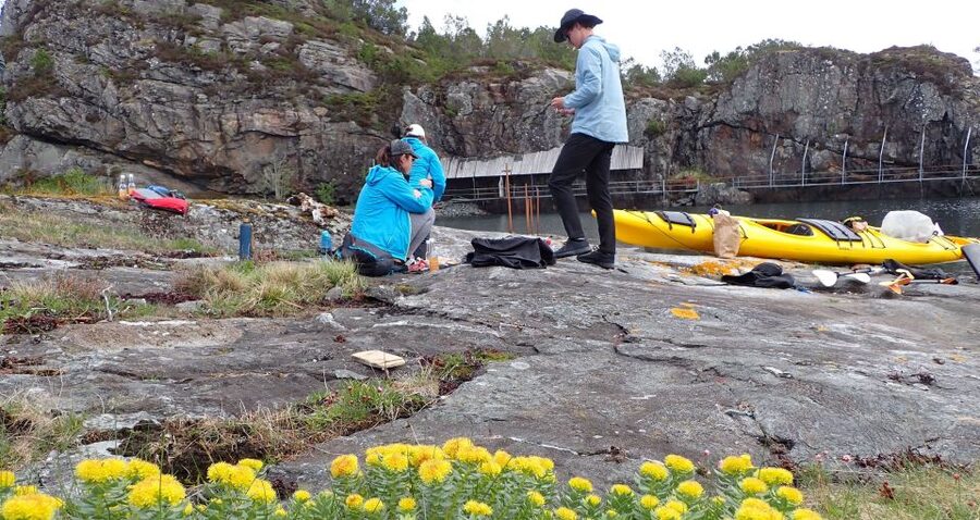 Bergen: Øygarden Islets Guided Kayaking Tour - Three and a half hours among the Øygarden islets