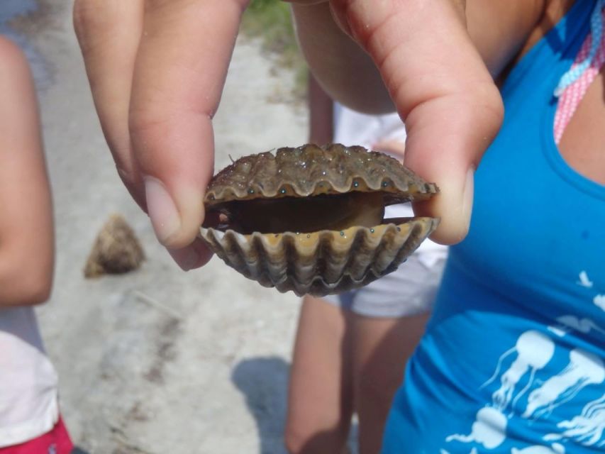 Berlin: Assateague Island Wildlife Discovery Kayak Tour - Who will enjoy this tour most