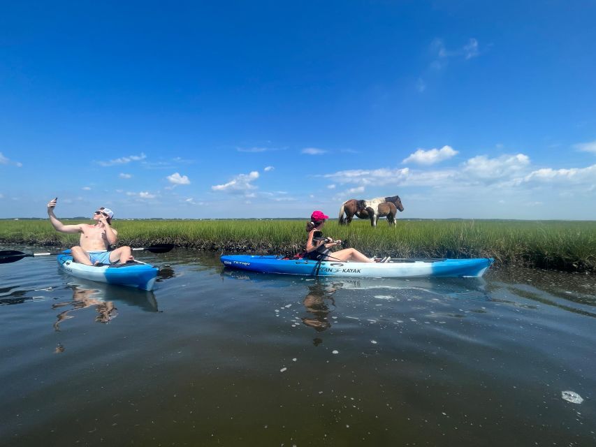 Berlin: Assateague Island Wildlife Discovery Kayak Tour - Booking flexibility and practical details
